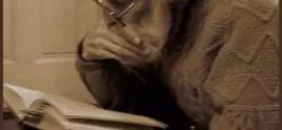 bölcs