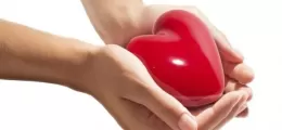 új szív