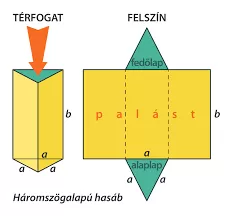 felszín
