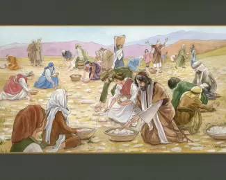 manna