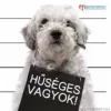 hűség